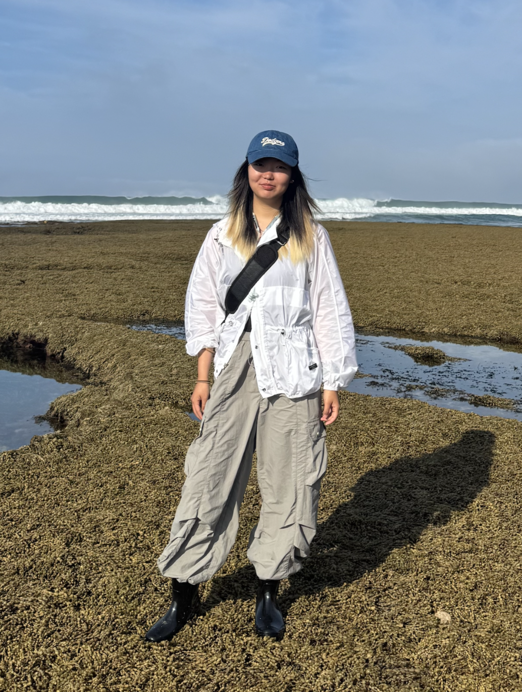 Intertidal biodiversity survey at Queenscliff